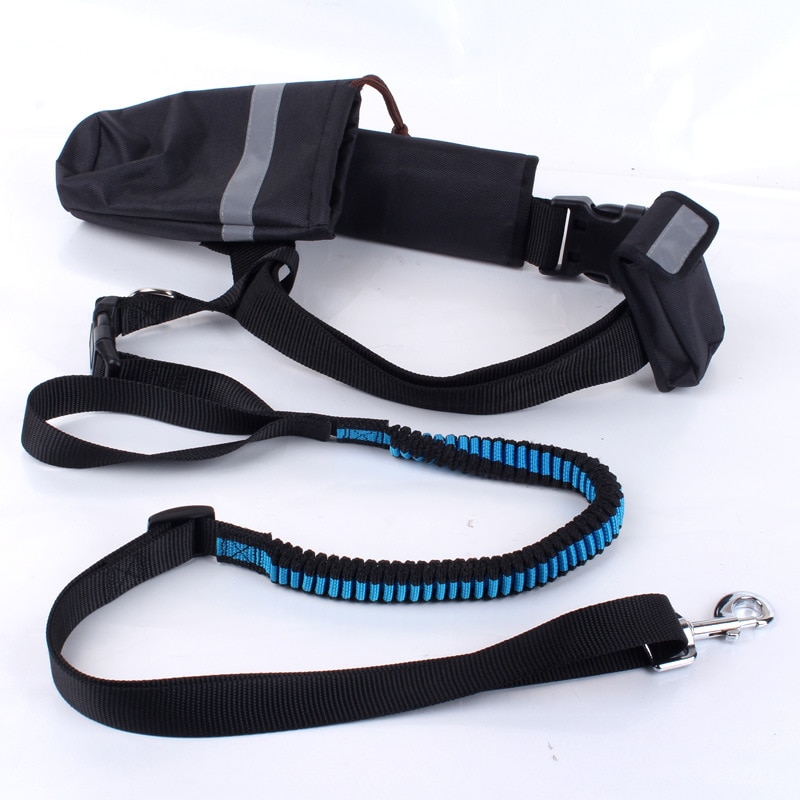 Dog's Hand Free Waist Leash for Running
