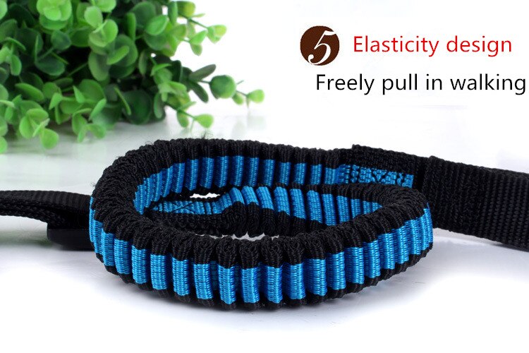 Dog's Hand Free Waist Leash for Running
