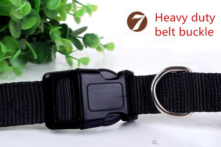 Dog's Hand Free Waist Leash for Running