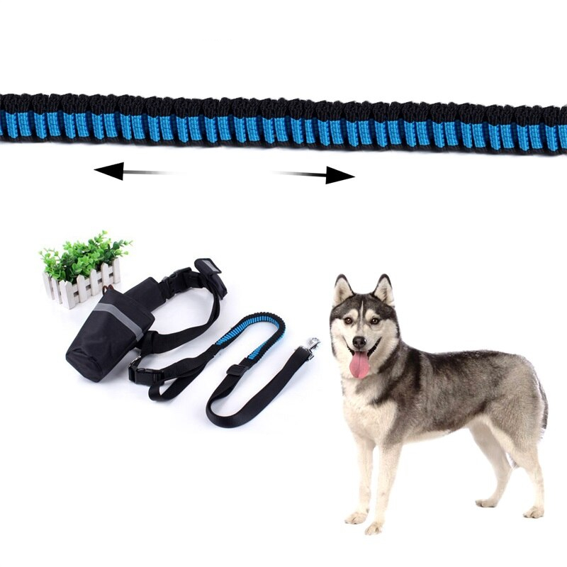 Dog's Hand Free Waist Leash for Running