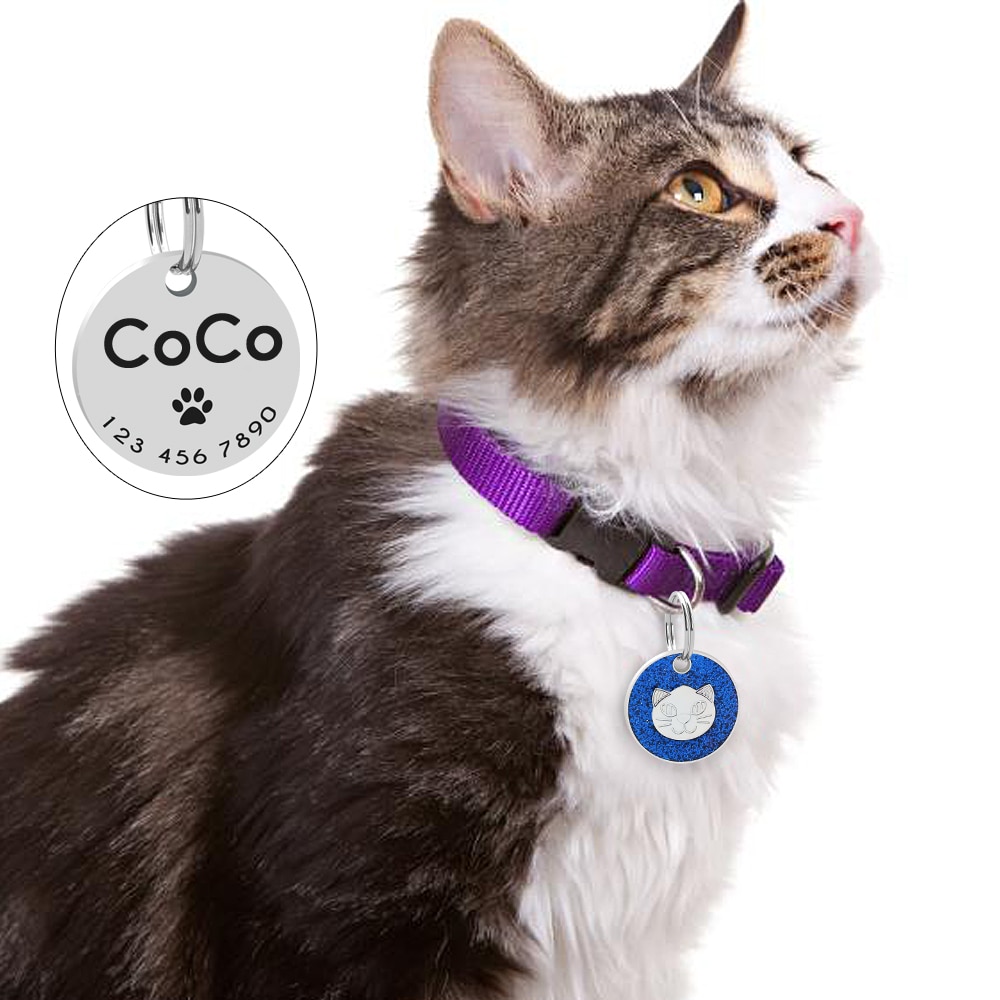 Engraved Texting Glitter Design ID Tag