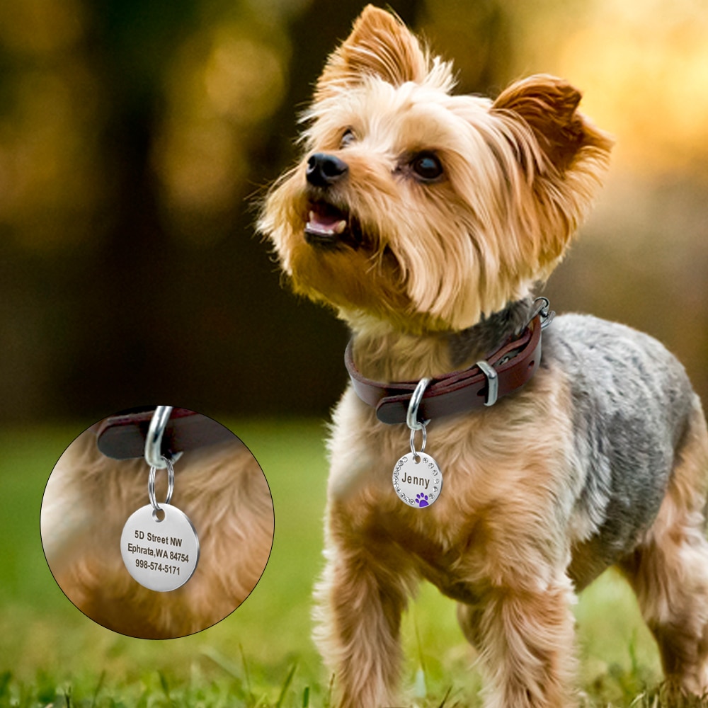 Custom Engraved Stainless Steel Dog Tag