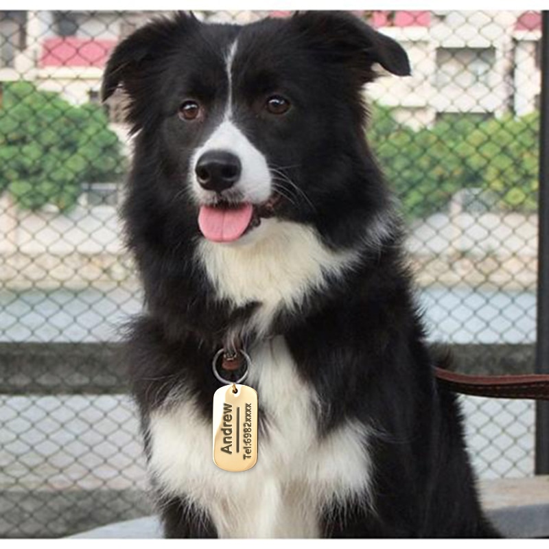 Customized Dog ID Tag