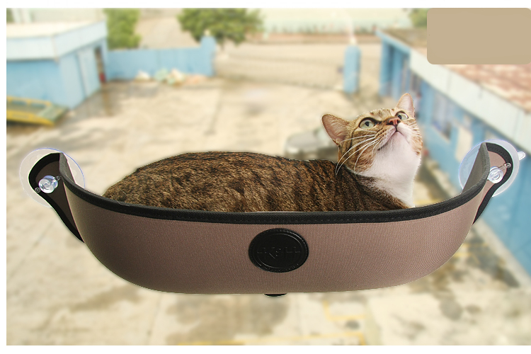 Cat's Window Hammock