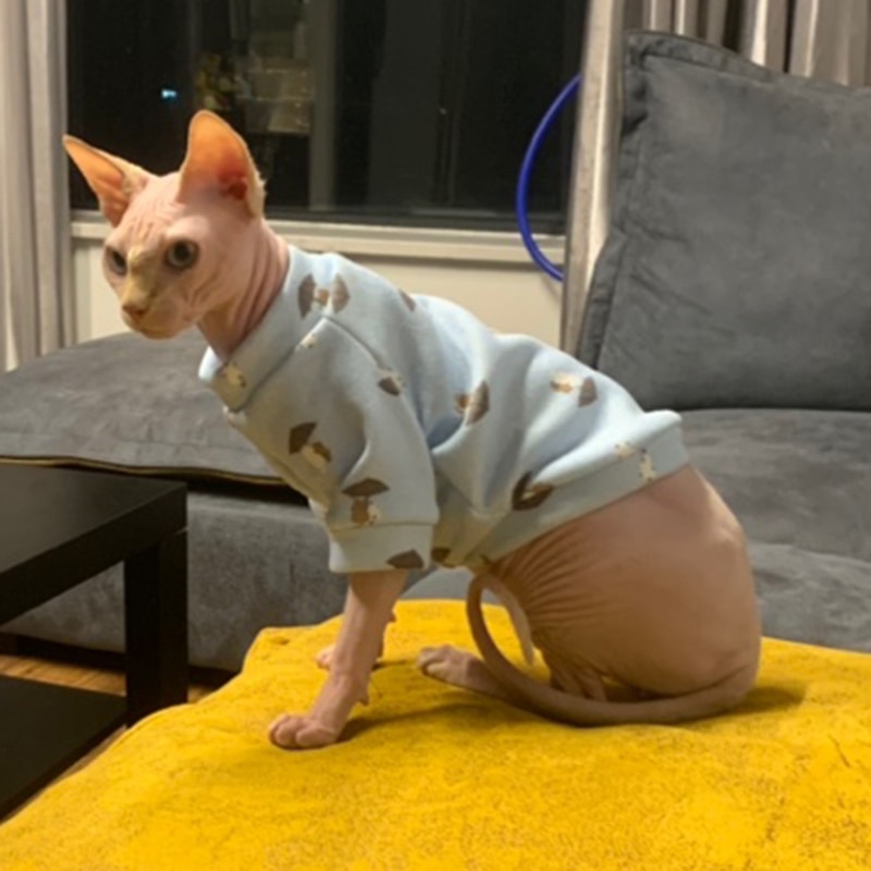 Cat's Colorful Print Sweatshirt