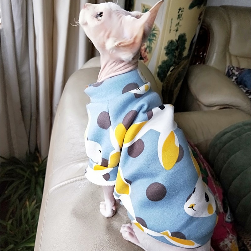 Cat's Colorful Print Sweatshirt