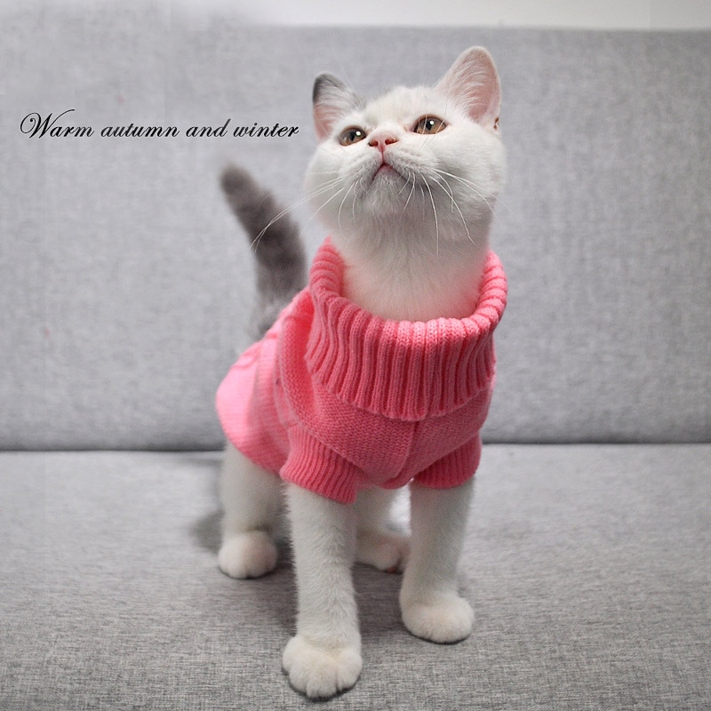 Cat's Turtleneck Knitted Sweater