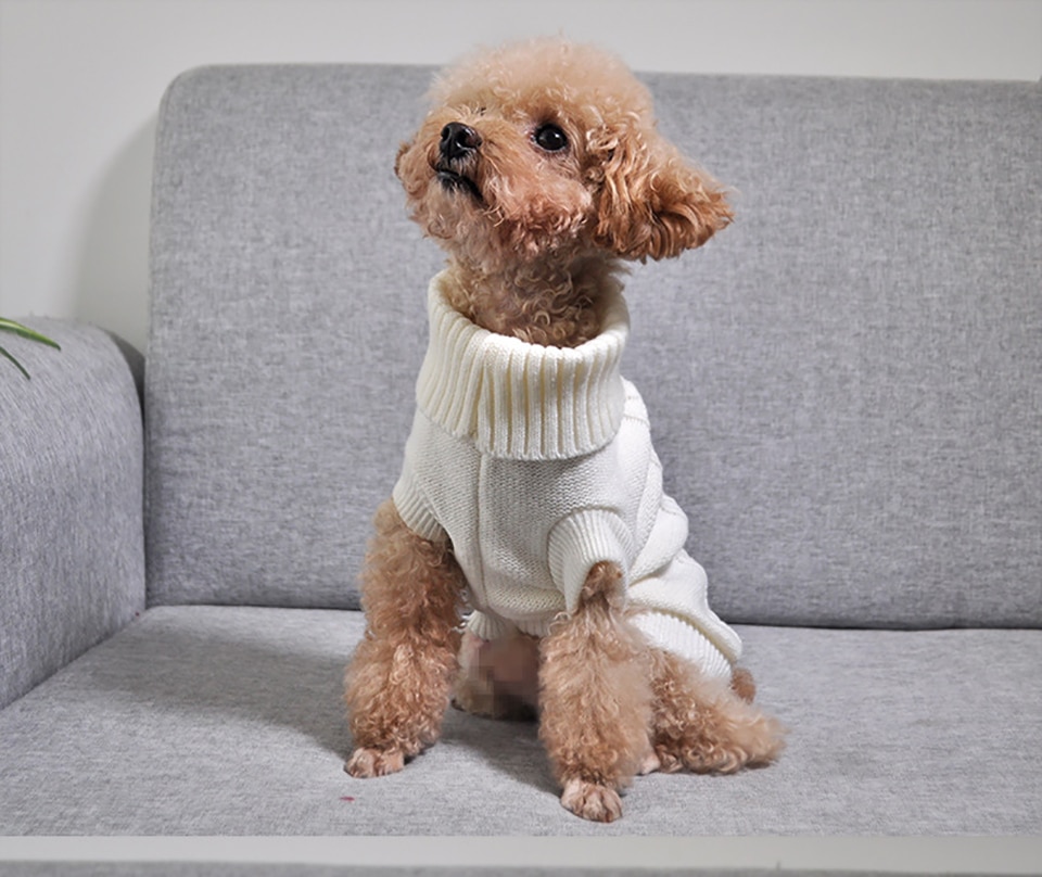 Cat's Turtleneck Knitted Sweater