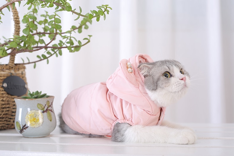 Cat's Kawaii Cotton-Padded Jacket