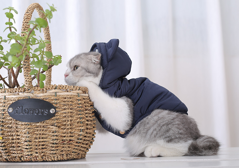 Cat's Kawaii Cotton-Padded Jacket