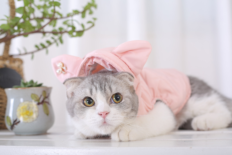 Cat's Kawaii Cotton-Padded Jacket