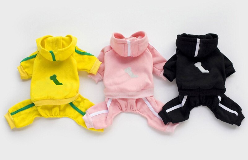 Different Colored Dog's Costume