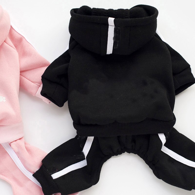 Different Colored Dog's Costume