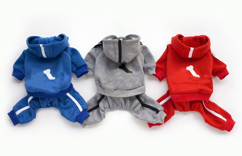 Different Colored Dog's Costume