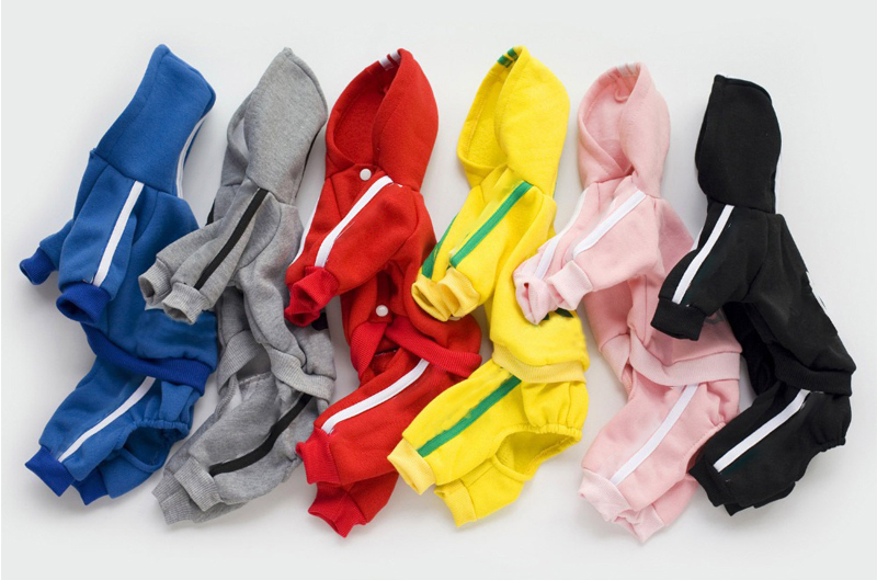 Different Colored Dog's Costume