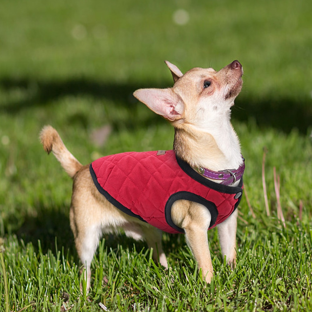 Windproof Soft Dog Coat