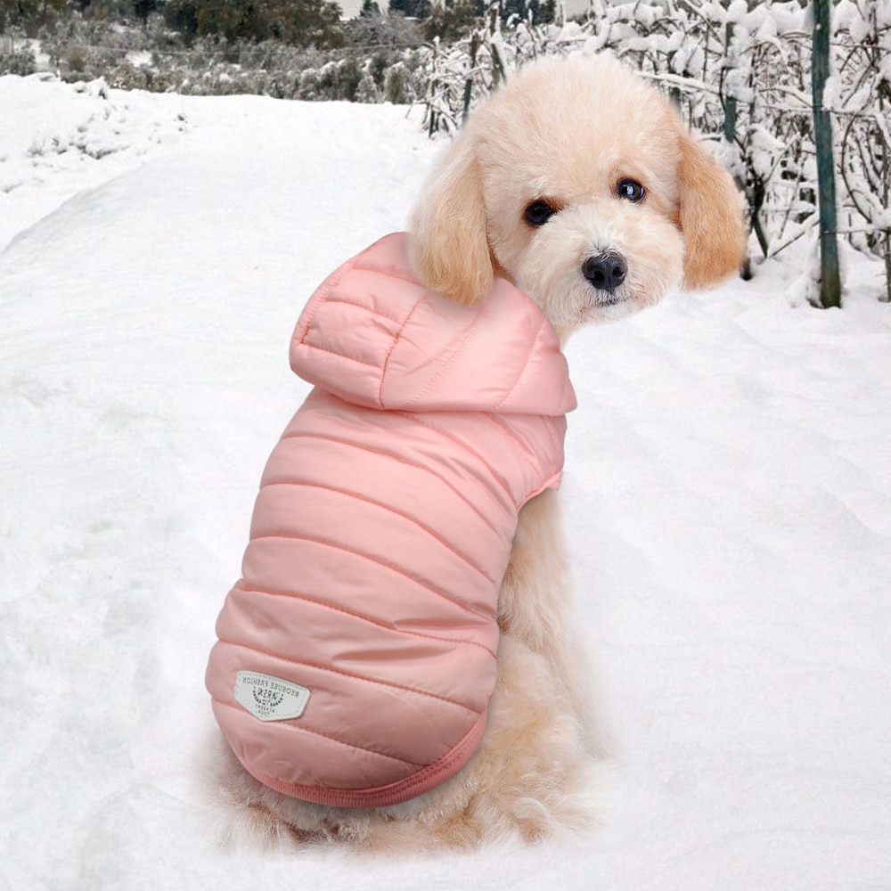 Cute Cotton Blend Coat For Small Dogs