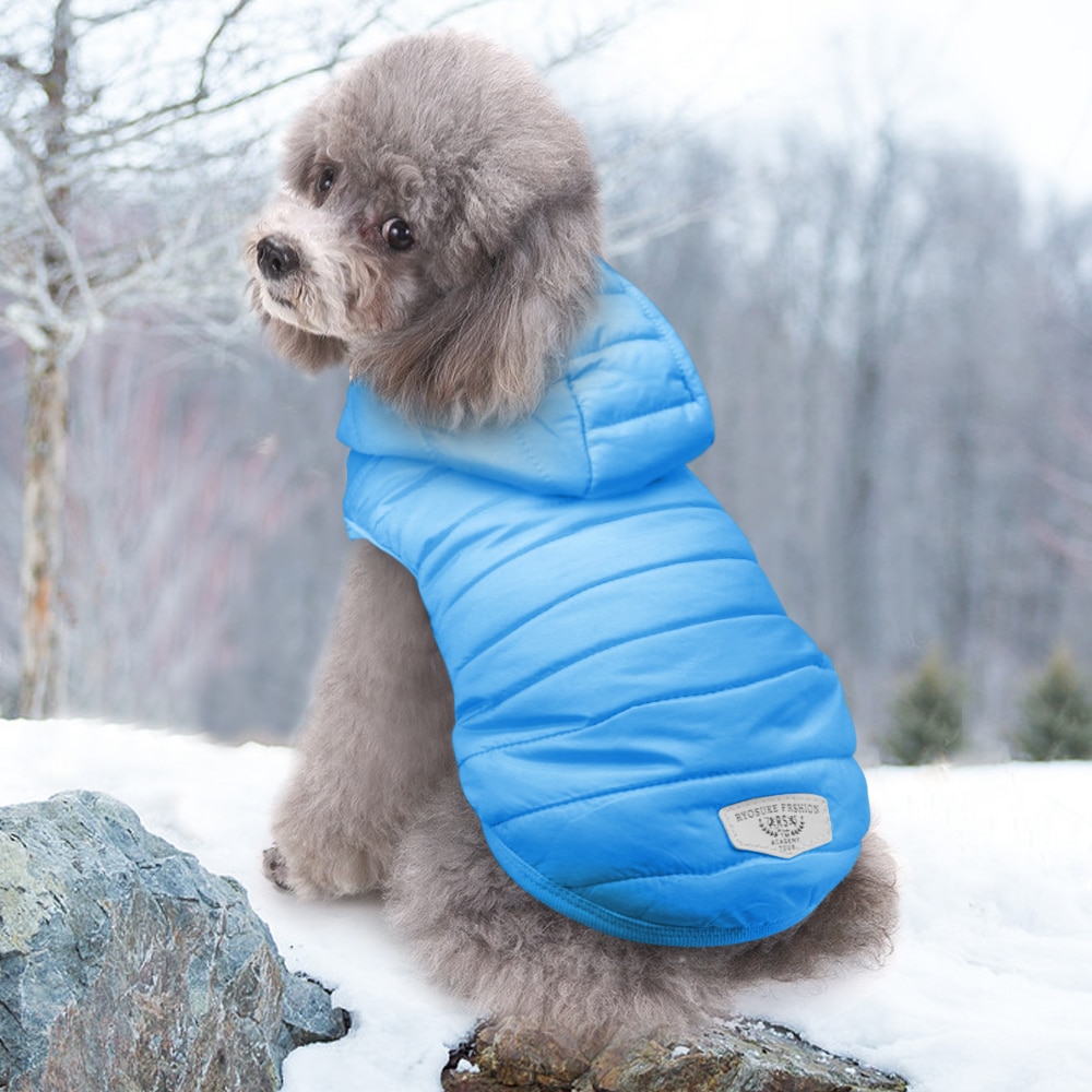 Cute Cotton Blend Coat For Small Dogs