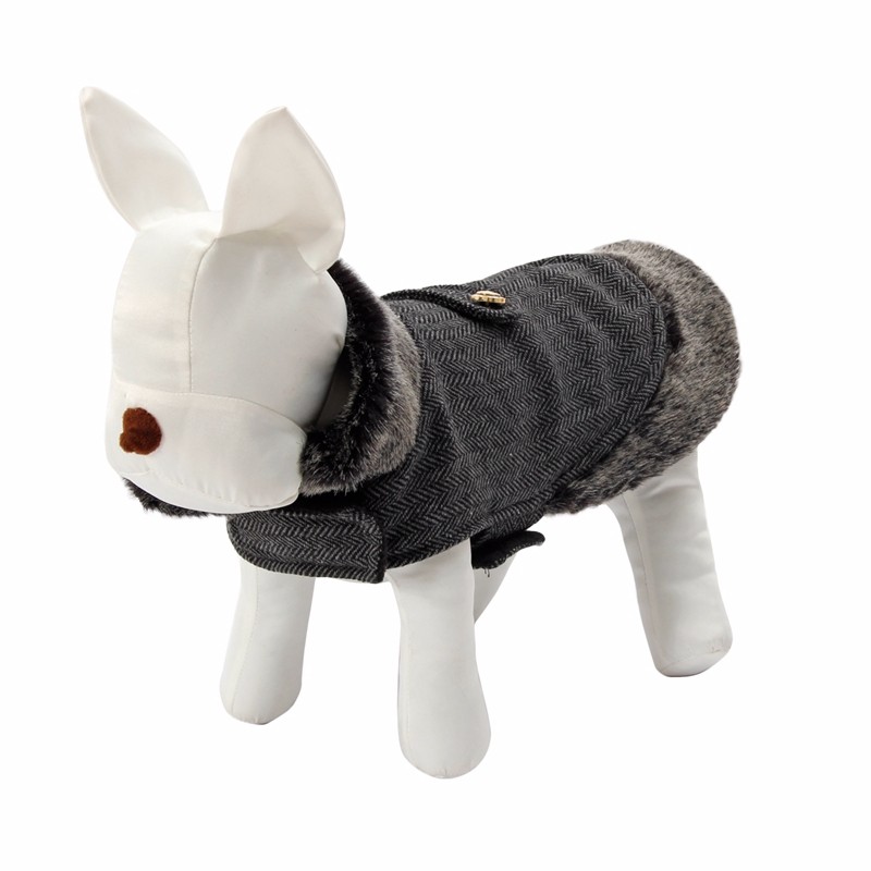 Cute Coat for Small Dogs
